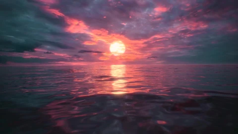 PC Desktop Paradisebyvisualdonloop 1080p Live Wallpaper - Free Live Wallpaper