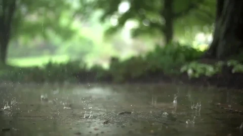 Droplet Raining HD Live Wallpaper For PC - Free Live Wallpaper