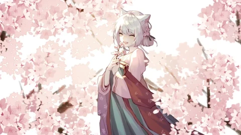 Anime Cat Girl With A Lovely Smile Cherry Blossom HD Live Wallpaper For PC - Free Live Wallpaper