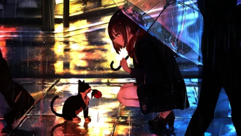 Anime Girl And Cat In The Rain HD Live Wallpaper For PC - Free Live Wallpaper