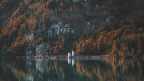 Nepaug State Forest HD Live Wallpaper For PC - Free Live Wallpaper