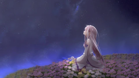 Emilia Sitting In The Flower Field At Night Looking At The Stars Rezero HD Live Wallpaper For PC - Free Live Wallpaper