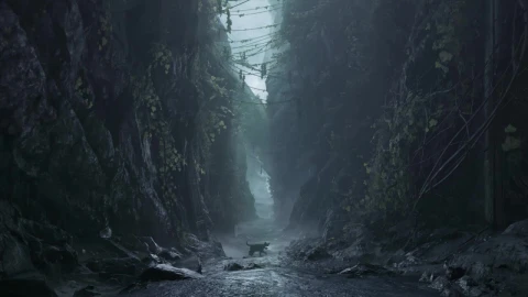 The Black Cat Adventure HD Live Wallpaper For PC - Free Live Wallpaper