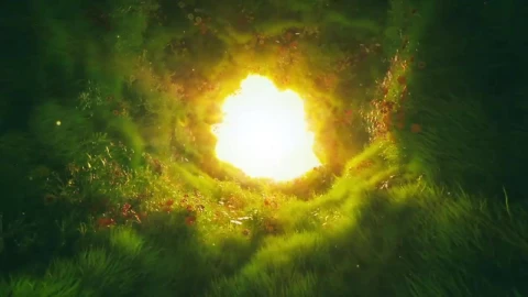 Grass Tunnel HD Live Wallpaper For PC - Free Live Wallpaper