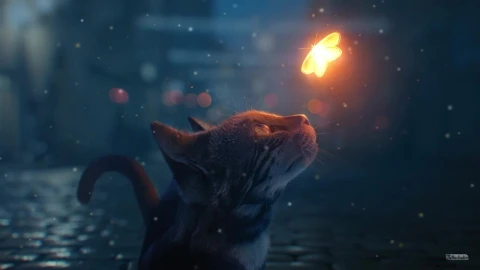 Cat Looking At Glowing Butterfly HD Live Wallpaper For PC - Free Live Wallpaper