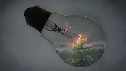 Nature In A Lightbulb HD Live Wallpaper For PC - Free Live Wallpaper