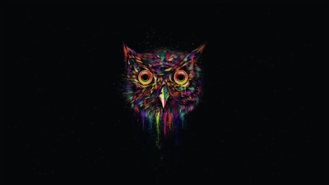 Abstract Space Owl HD Live Wallpaper For PC - Free Live Wallpaper