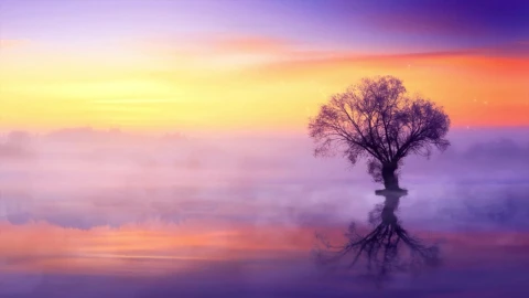 Magic Tree HD Live Wallpaper For PC - Free Live Wallpaper