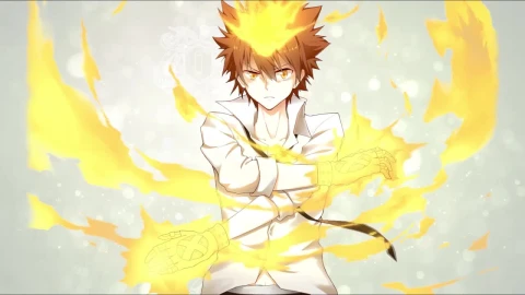 Tsunayoshi Sawada Katekyo Hitman Reborn 1 HD Live Wallpaper For PC - Free Live Wallpaper