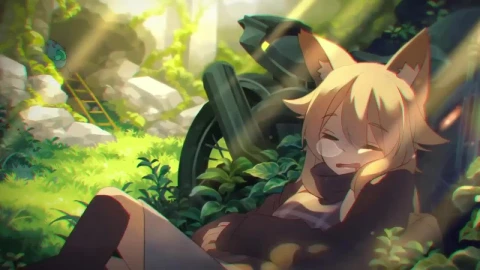 Fox Girl Sleepy HD Live Wallpaper For PC - Free Live Wallpaper