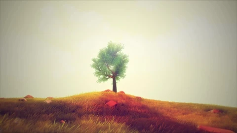Lonely Tree On Field HD Live Wallpaper For PC - Free Live Wallpaper
