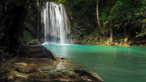 Waterfall In The Jungle HD Live Wallpaper For PC - Free Live Wallpaper