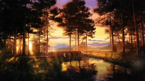 Beautiful Sunset On Forest Lake HD Live Wallpaper For PC - Free Live Wallpaper