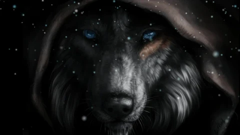 Black Wolf Face HD Live Wallpaper For PC - Free Live Wallpaper