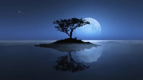 Lonely Tree Under The Moonlight HD Live Wallpaper For PC - Free Live Wallpaper