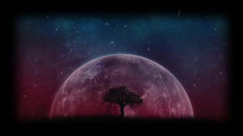 Lonely Tree With Moon HD Live Wallpaper For PC - Free Live Wallpaper