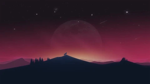 Lonely Wolf Under The Night Sky HD Live Wallpaper For PC - Free Live Wallpaper