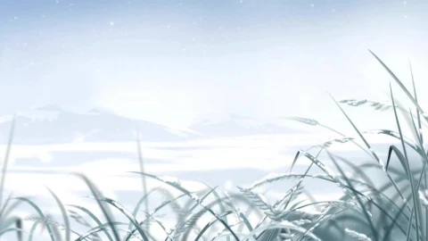 Snow Grass HD Live Wallpaper For PC - Free Live Wallpaper