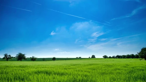 Windows HD Live Wallpaper For PC - Free Live Wallpaper