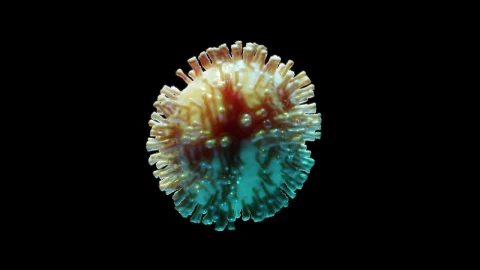 Stock Video 3d animated coronavirus isolated on black backgroun PC Live Wallpaper - Free Live Wallpaper
