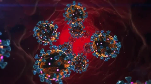 Stock Video 3d animation of a bloodstream with viruses PC Live Wallpaper - Free Live Wallpaper