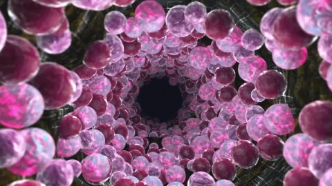 Stock Video 3d animation of a tunnel with spheres PC Live Wallpaper - Free Live Wallpaper