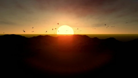 Stock Video 3d sunset at sea with birds flying around PC Live Wallpaper - Free Live Wallpaper