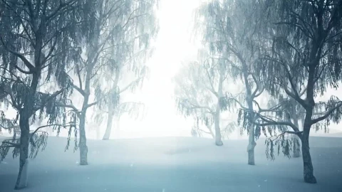 Stock Video 3d tour through a snowy forest PC Live Wallpaper - Free Live Wallpaper