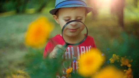 Stock Video A Boy Uses A Magnifying Glass To See Flowers Live Wallpaper for PC - Free Live Wallpaper