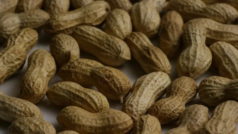 Stock Video A Bunch Of Peanuts Close Up Live Wallpaper for PC - Free Live Wallpaper