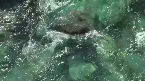 Stock Video A Clean And Clear Stream Of Water Live Wallpaper for PC - Free Live Wallpaper