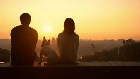 Stock Video A Couple In Love Watching A Romantic Sunset Live Wallpaper for PC - Free Live Wallpaper
