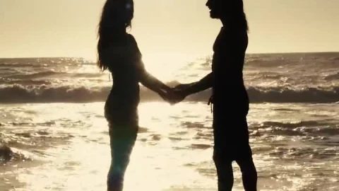 Stock Video A Couples Silhouette On The Beach At Sunset Live Wallpaper for PC - Free Live Wallpaper