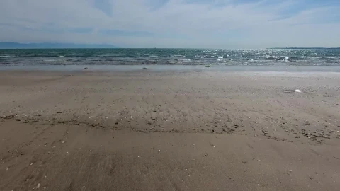 Stock Video A Deserted Beach And The Ocean Live Wallpaper for PC - Free Live Wallpaper