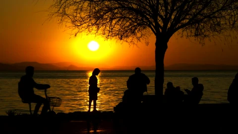 Stock Video A Family At The Sunset On The Seashore Live Wallpaper for PC - Free Live Wallpaper