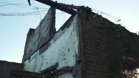 Stock Video Abandoned Building Ruins In A Forest Live Wallpaper for PC - Free Live Wallpaper