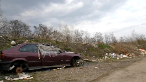 Stock Video Abandoned Cars Left To Rust In Woodland Live Wallpaper for PC - Free Live Wallpaper