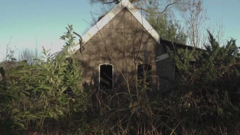 Stock Video Abandoned House In A Forest Live Wallpaper for PC - Free Live Wallpaper
