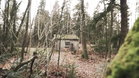 Stock Video Abandoned Shed In A Forest In Autumn Live Wallpaper for PC - Free Live Wallpaper