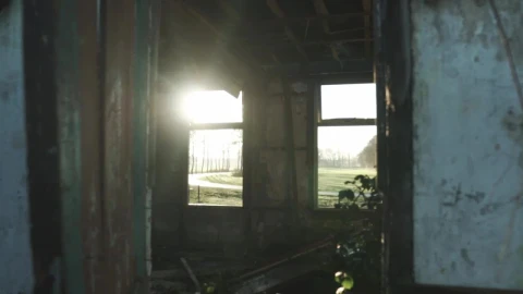 Stock Video Abandoned Spot Near A Forest Live Wallpaper for PC - Free Live Wallpaper