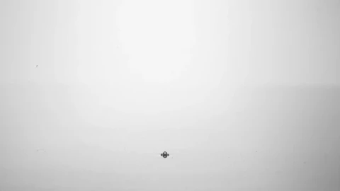 Stock Video Abstract Black Ink On Water Live Wallpaper for PC - Free Live Wallpaper