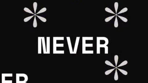 Stock Video Abstract Flowers Text Quote Live Wallpaper for PC - Free Live Wallpaper