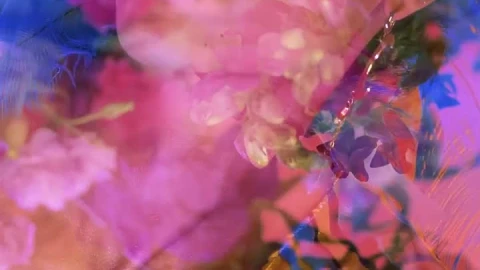Stock Video Abstract Lgbtq Video Of A Boy Appreciating Flowers Live Wallpaper for PC - Free Live Wallpaper