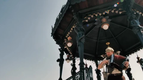 Stock Video Accordion Player On Steps Live Wallpaper for PC - Free Live Wallpaper