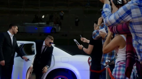 Stock Video Actor Posing For Photographers On Red Carpet Live Wallpaper for PC - Free Live Wallpaper