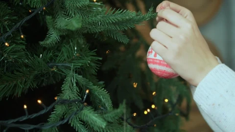 Stock Video Adding Decorations To A Tree Live Wallpaper for PC - Free Live Wallpaper