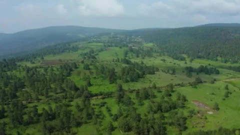 Stock Video Aerial Panorama Of A Forest Covering A Large Mountain Range Live Wallpaper for PC - Free Live Wallpaper