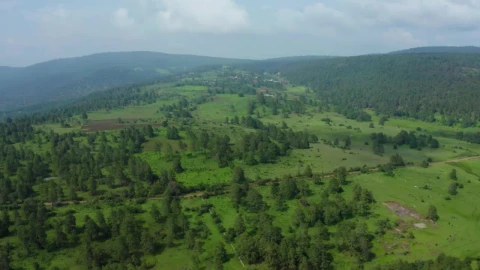 Stock Video Aerial Panorama Of A Forest Covering A Large Mountain Range  Larg Live Wallpaper for PC - Free Live Wallpaper