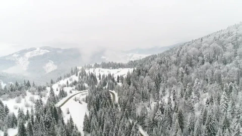 Stock Video Aerial Shot Of A Frozen Road Among A Forest Live Wallpaper for PC - Free Live Wallpaper