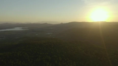 Stock Video Aerial Shot Of A Large Forest Covering The Landscape At  Larg Live Wallpaper for PC - Free Live Wallpaper